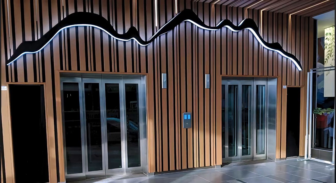 Paarl Mall Vision Elevators project